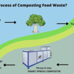 What Is the Process of Composting Food Waste?