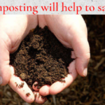 How composting will help to save soil