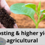 Composting & higher yields of agricultural