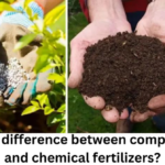 difference between compost manure and chemical fertilizers