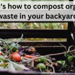 Here's how to compost organic waste in your backyard