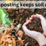 Composting keeps soil alive