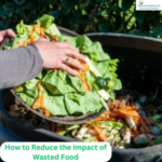 How to Reduce the Impact of Wasted Food