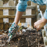 A Complete Guide To Food Waste Composting Machine