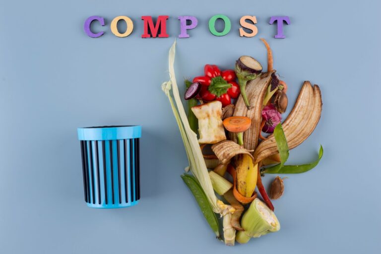 Compost food