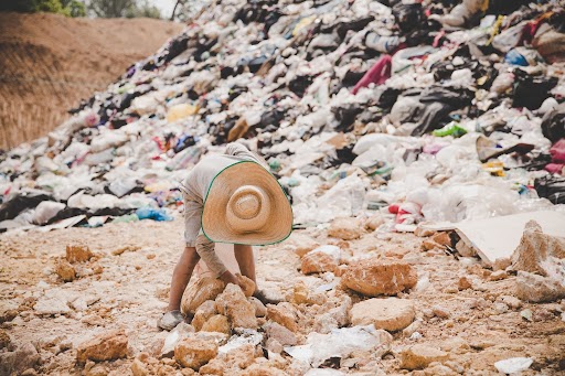 Waste Segregation