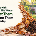 What to Do with Dry Leaves This Winter: Compost Them, Don't Burn Them (2026 Guide)